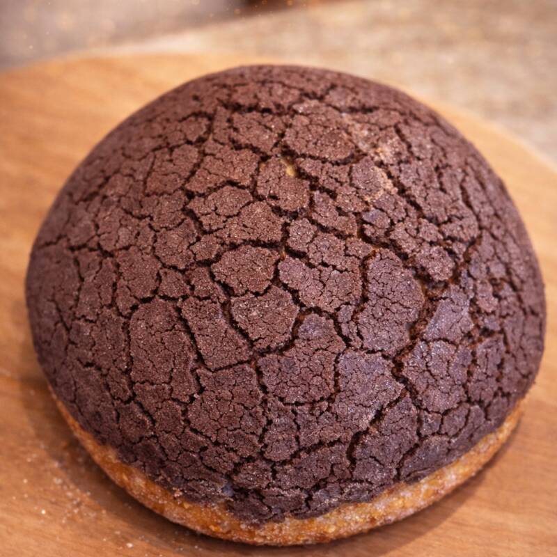 Concha de Chocolate