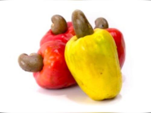 Suco Caju Copo (300ml)