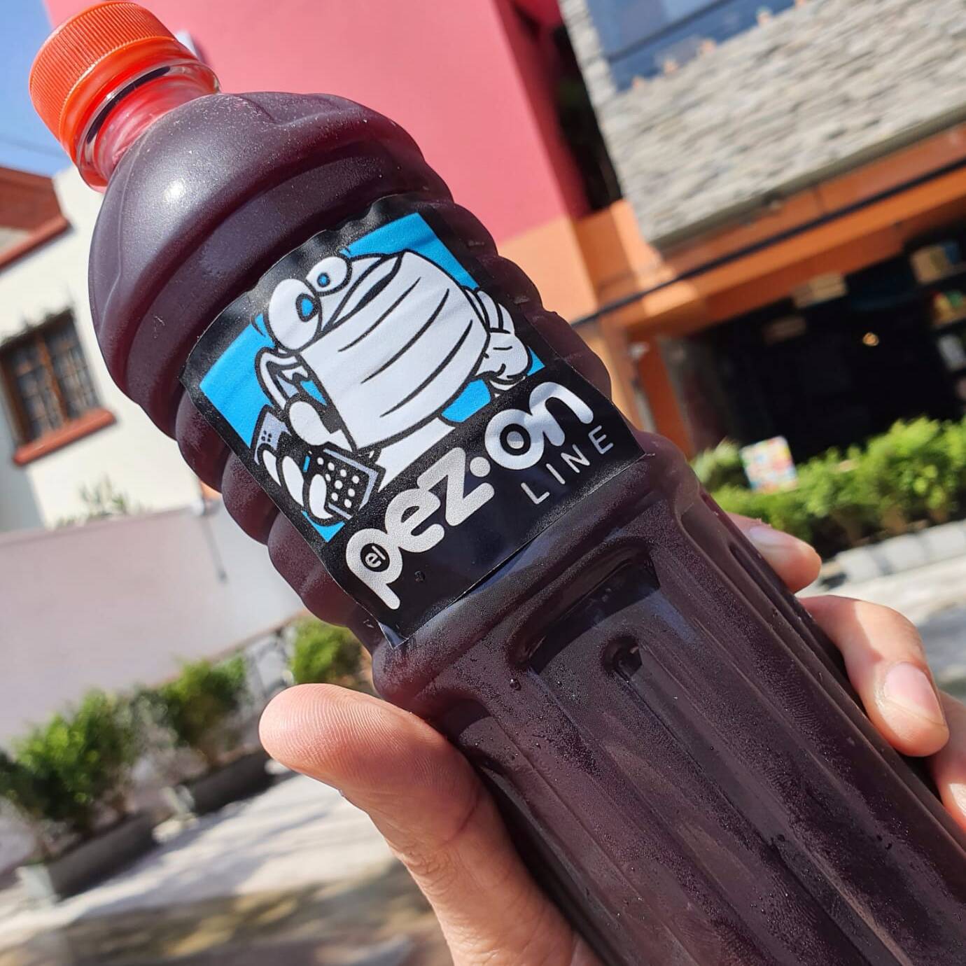 Chicha Morada 300 ml