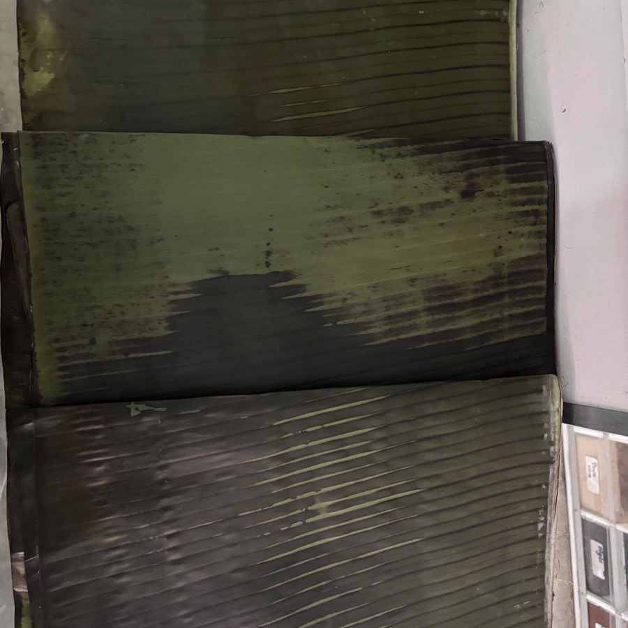 HOJA PARA TAMAL OAXAQUEÑO