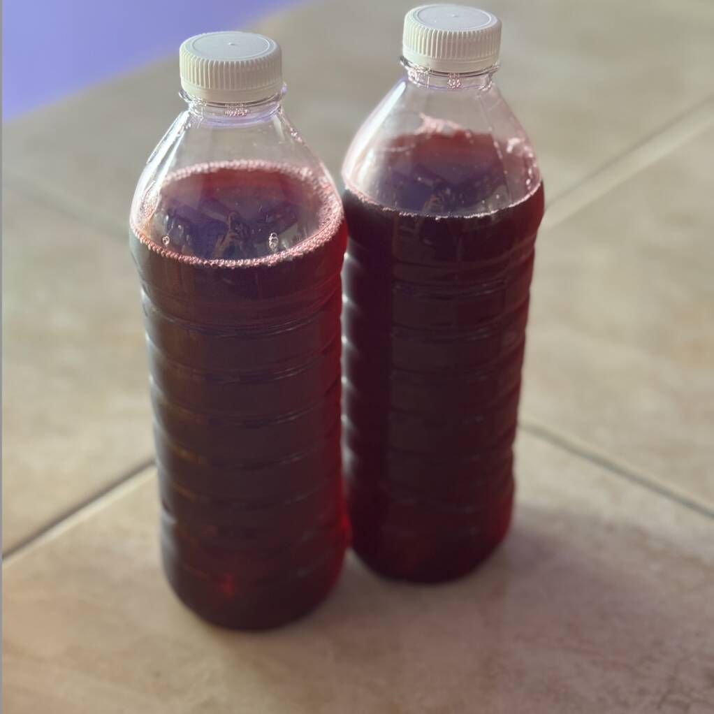 Agua de Jamaica Medio L