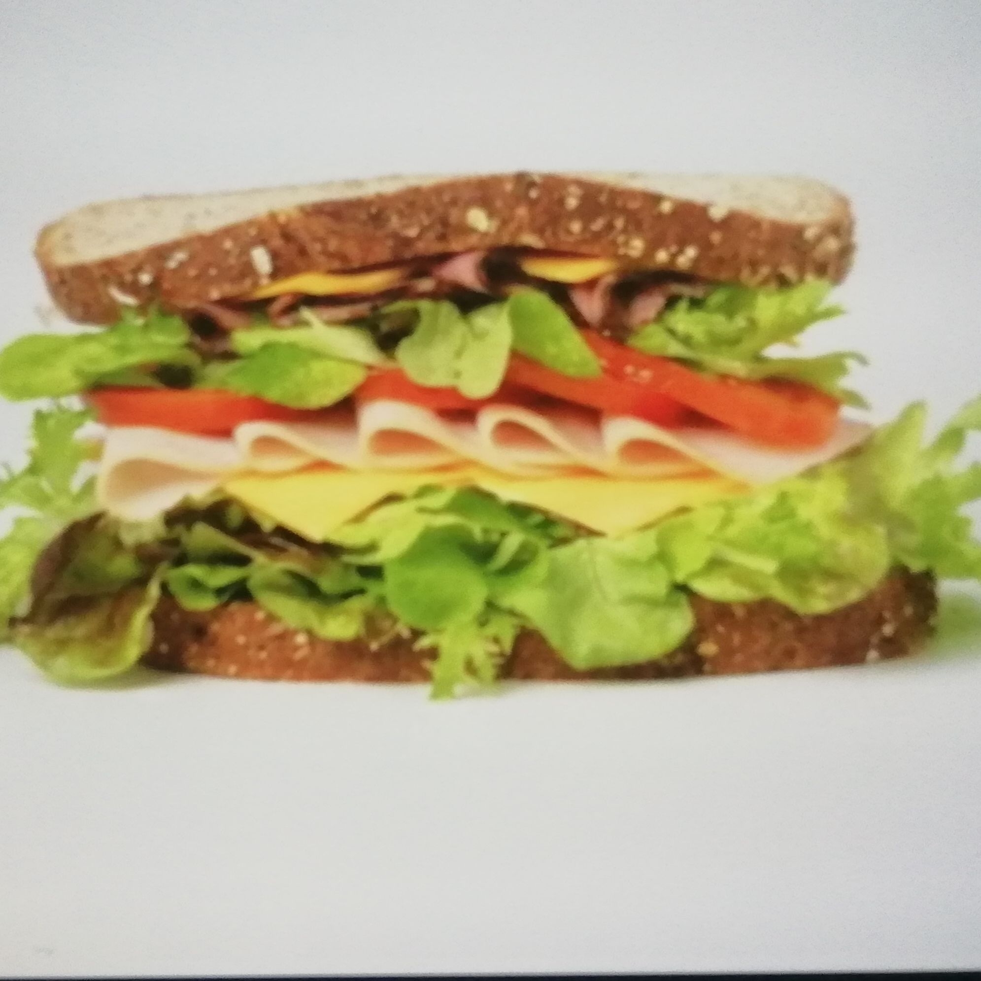 Sándwich Jamon Panela