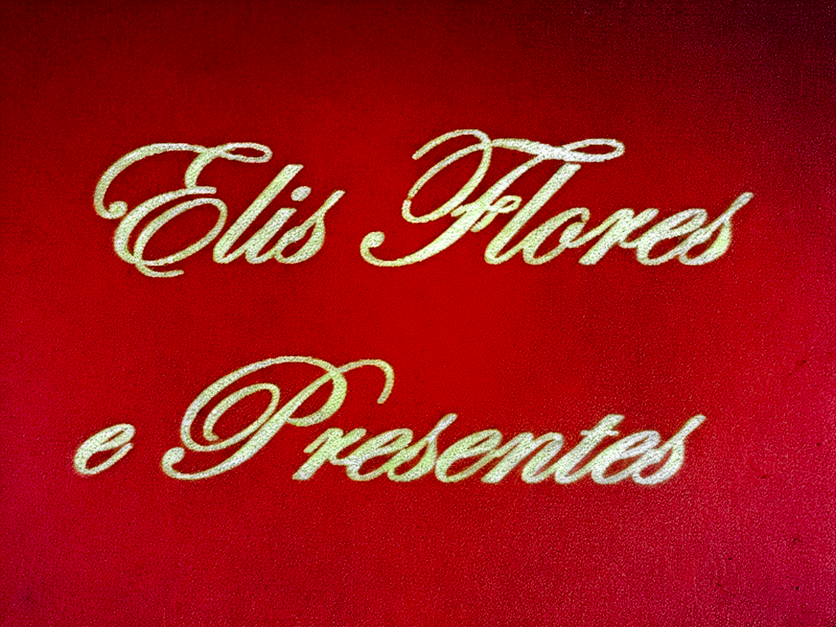 Elis Flores E Pesentes Ltda