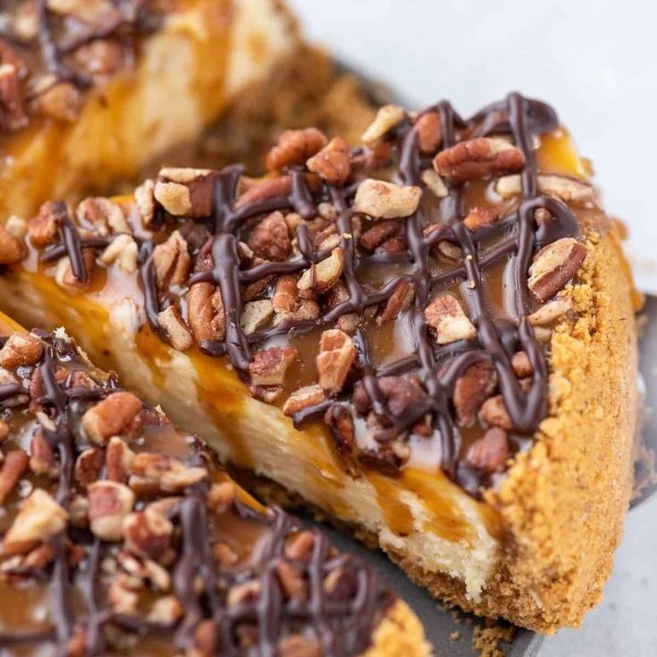 Cheesecake Tortuga