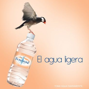 BOTELLA 1 LT. AGUA NATUAL BONAFONT