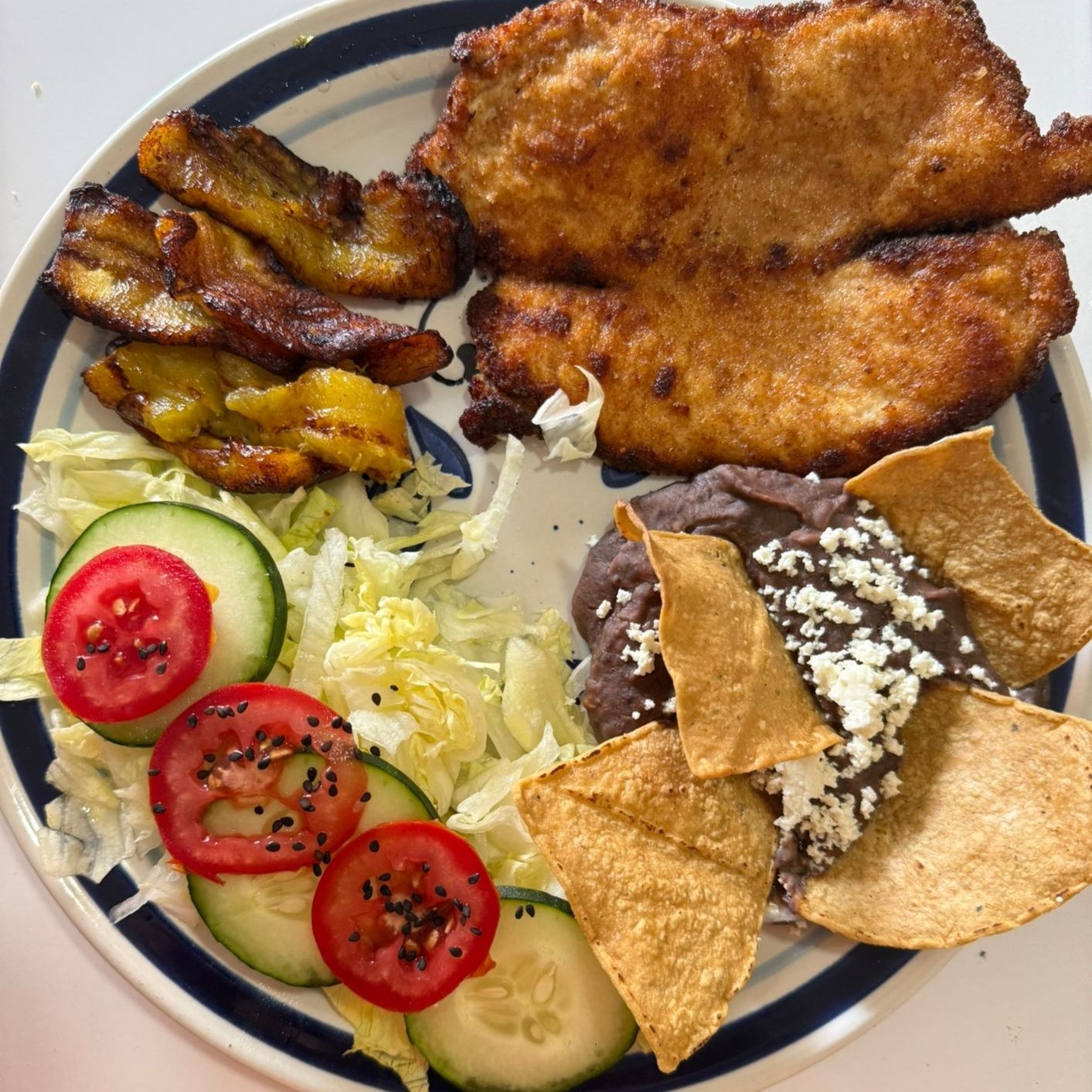 Milanesa de pollo