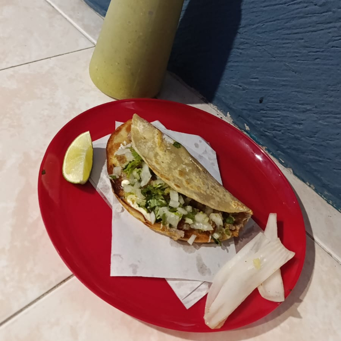 GRINGA DE ASADA