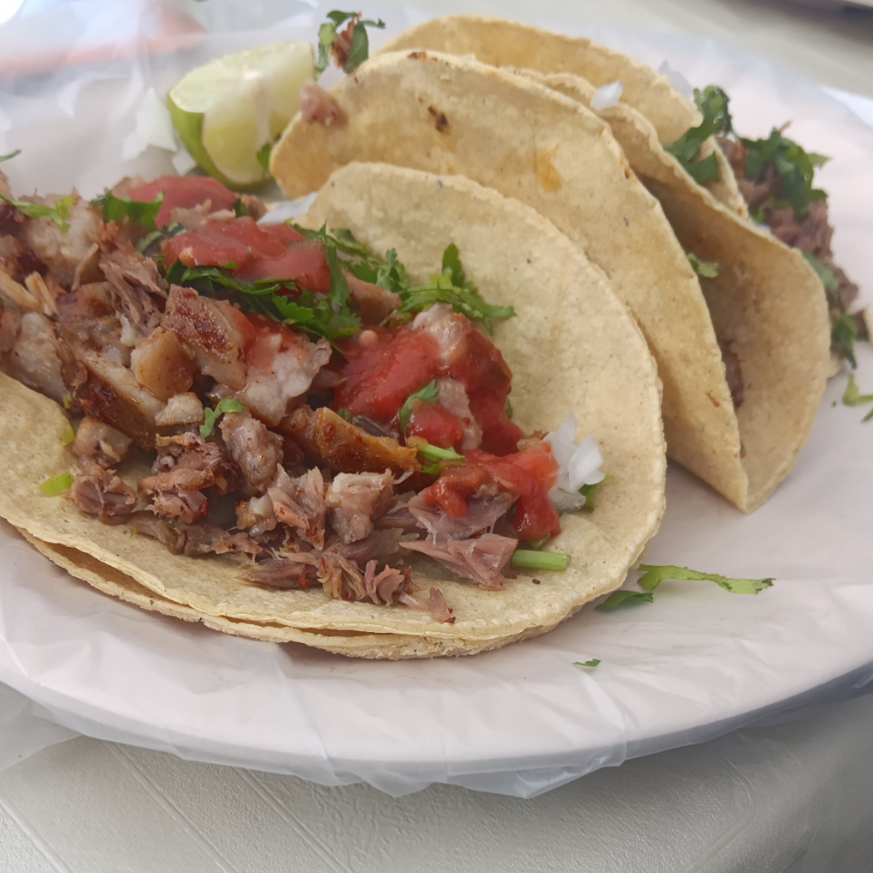 Tacos de Cabeza de Cerdo