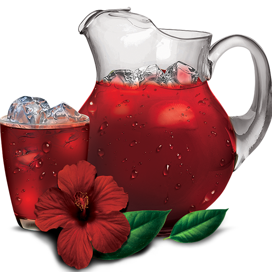 Agua de Jamaica 500ml