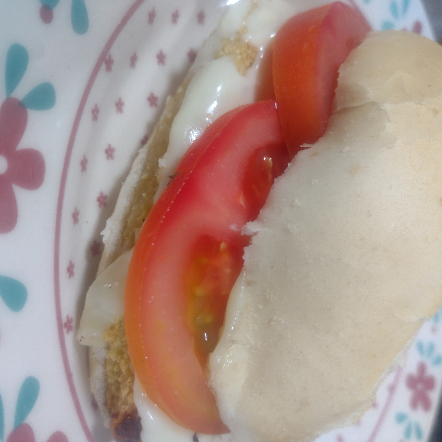 Pão, tomate, queijo mussarela e steak de frsngo