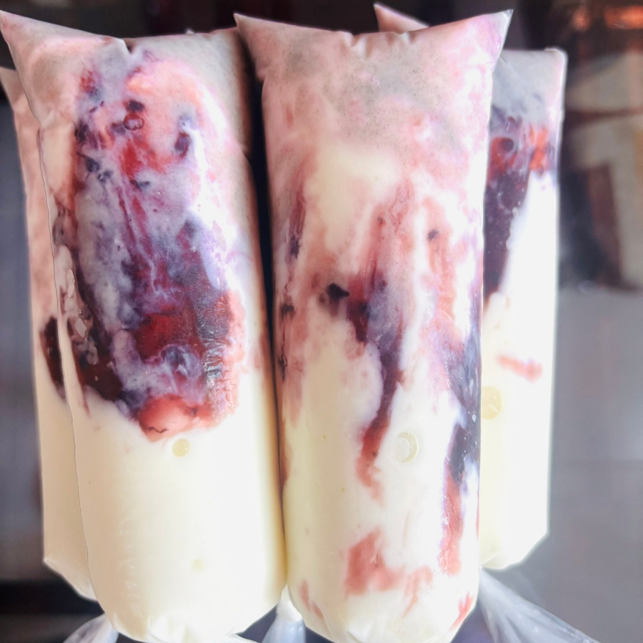 SABORIN YOGURT CON ZARZAMORA