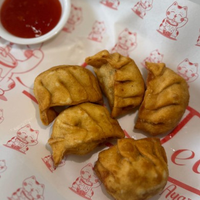 Gyozas fritas