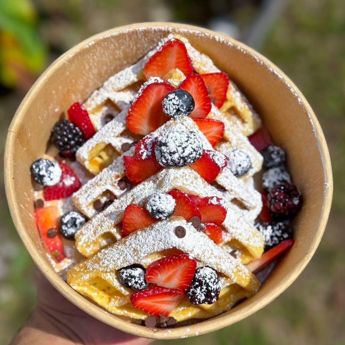 Waffles Bowl