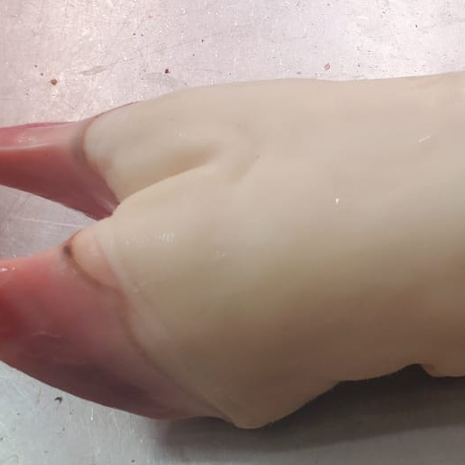 Pata de Res