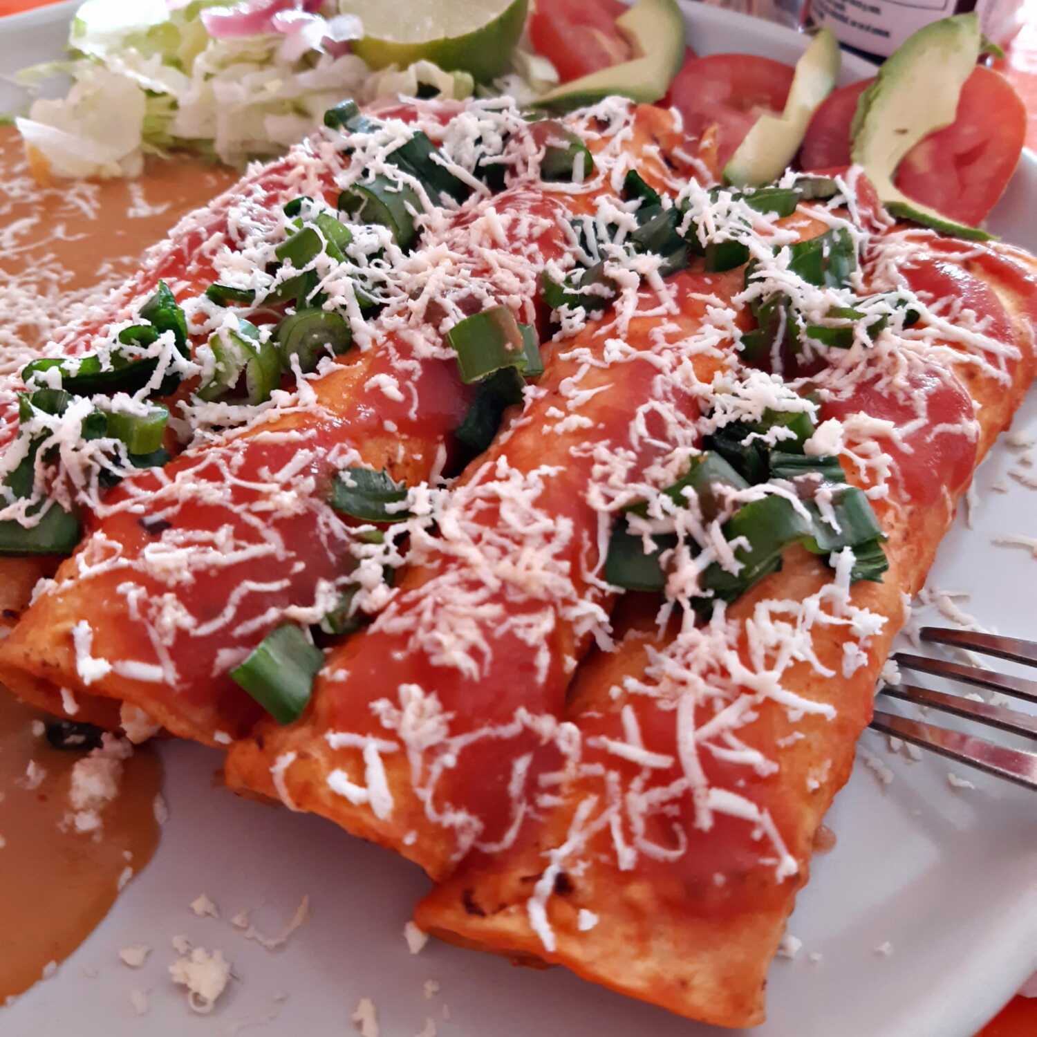 ENCHILADAS MEXICANAS