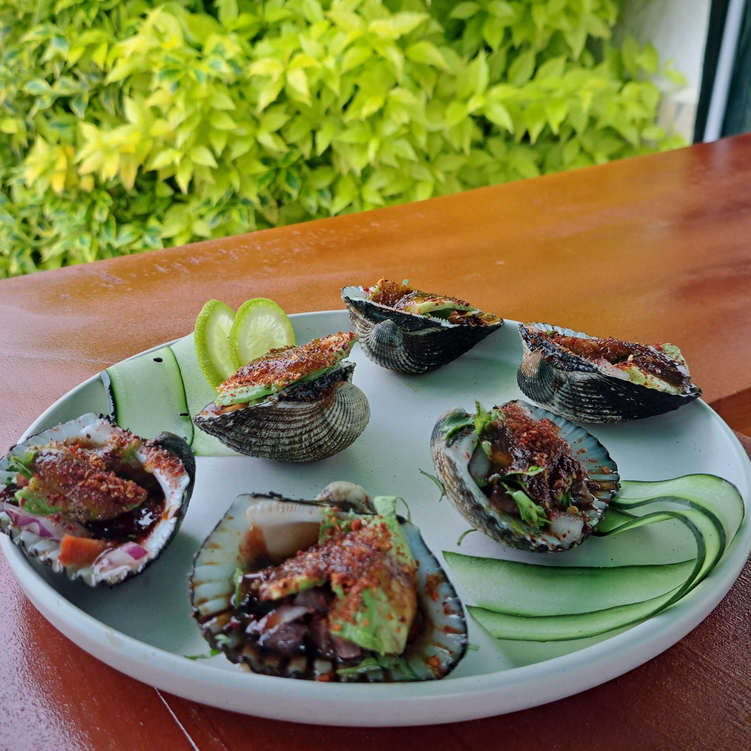 CASCOS DE MULA Y OSTIONES