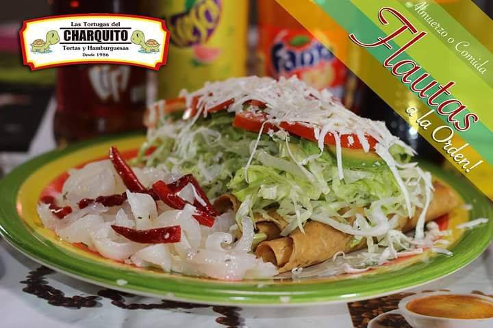 Las Tortugas del Charquito