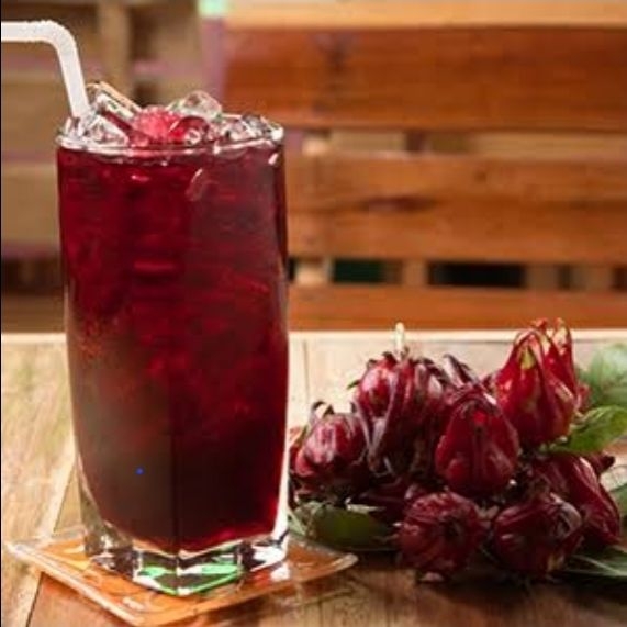 Agua de Jamaica 500 ml