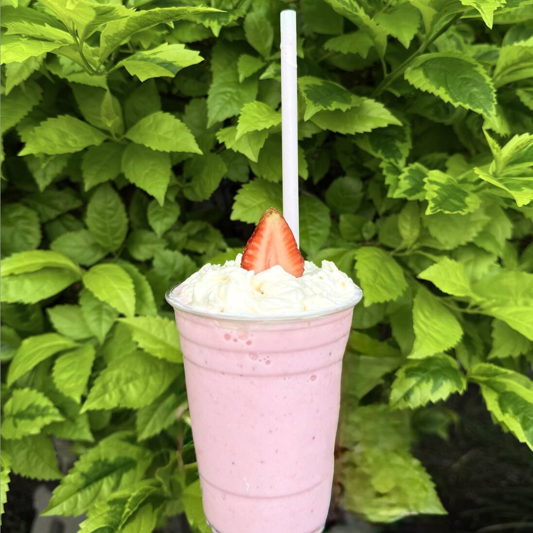 SMOOTHIE DE FRESA