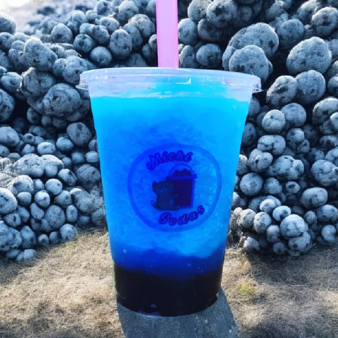 Bubble Tea Blueberry