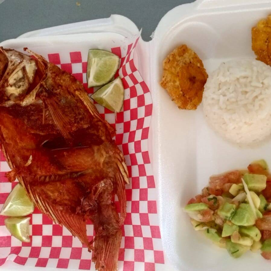 Tilapia
