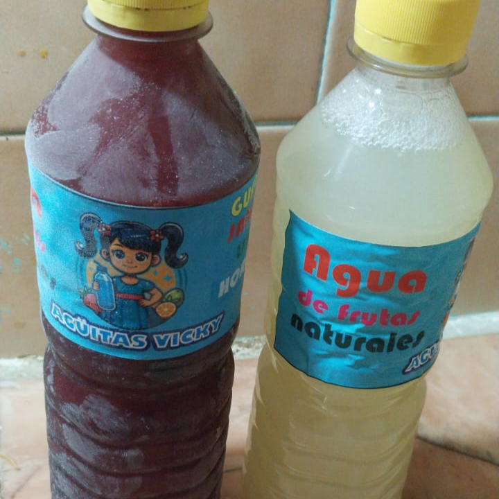 Agua Fresca de Jamaica 500 Ml
