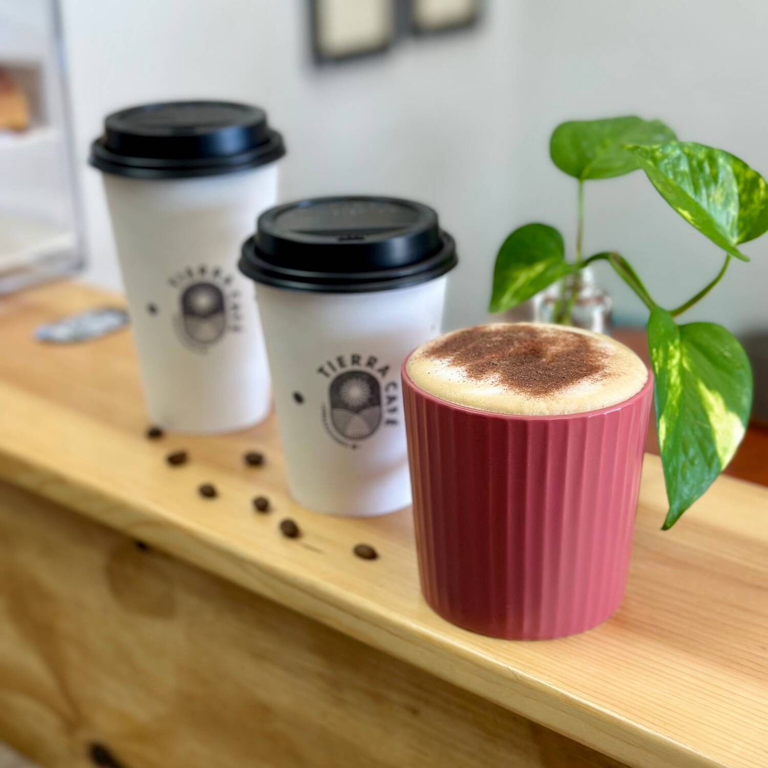 Capuchino
