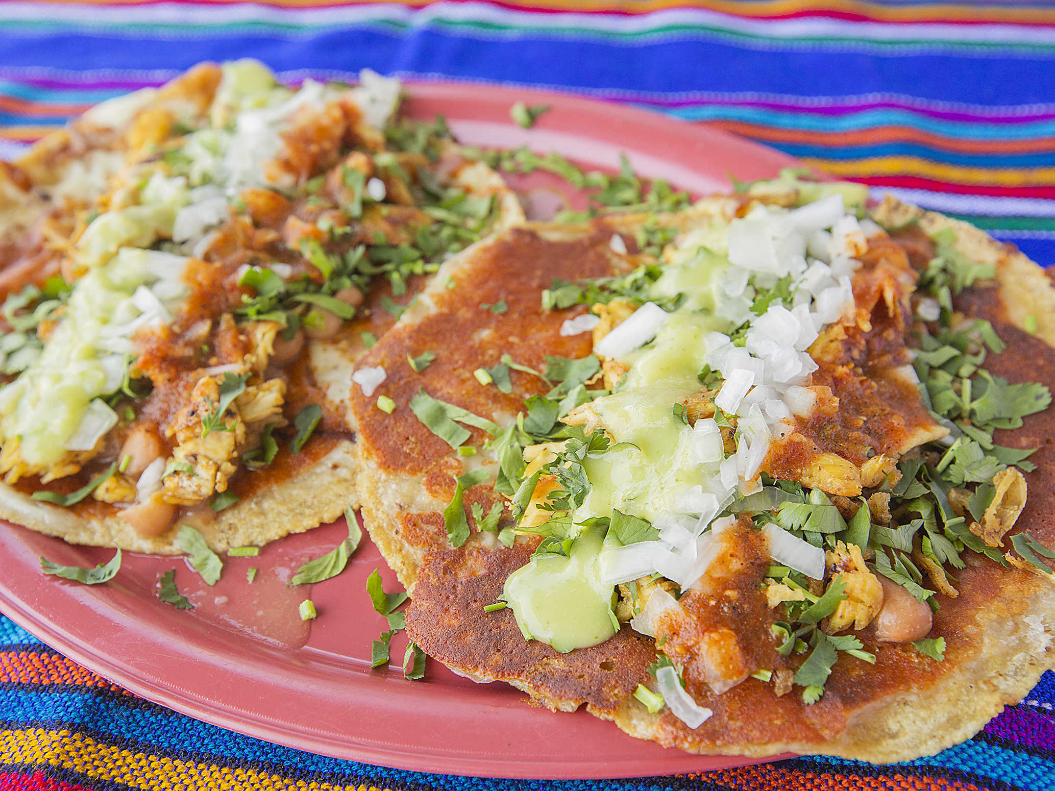 QUESADILLA DE POLLO