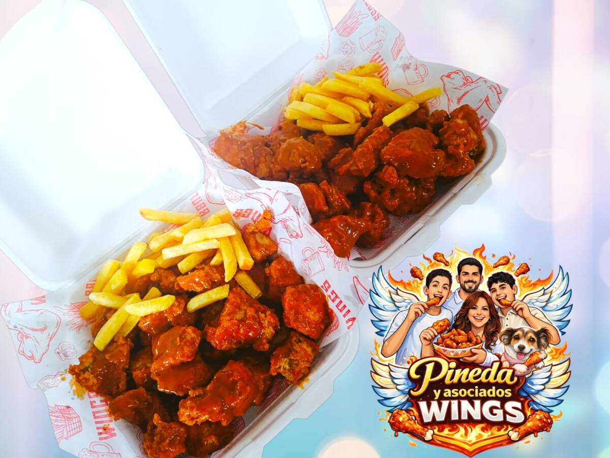 Pinedas Y Asociados Wings