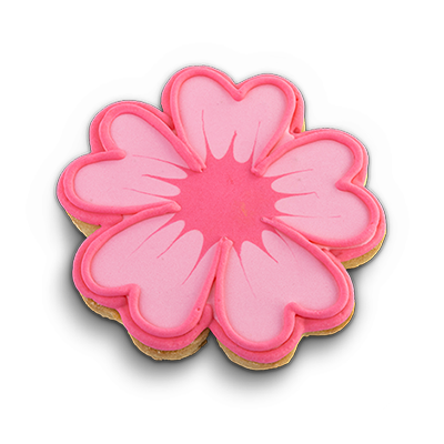 Galleta Decorada 60 g