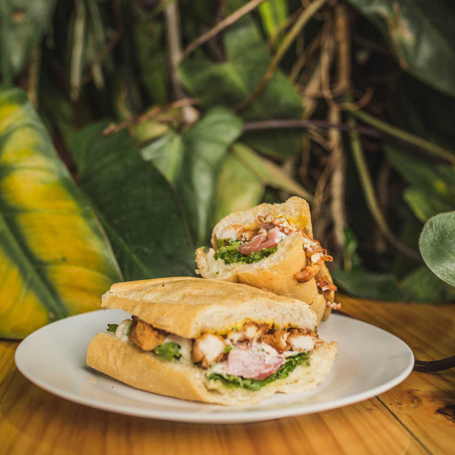 Sándwiches de Pollo Grill