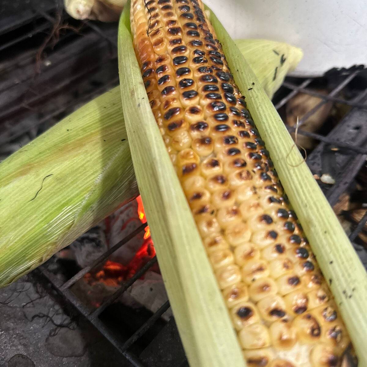 Elote Blanco Asado