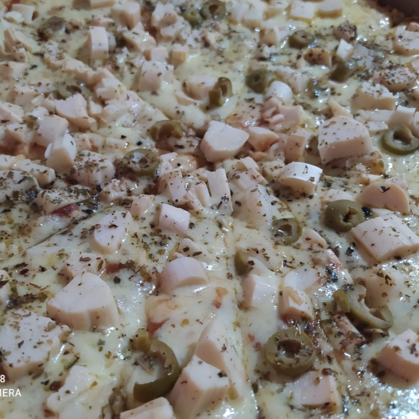 Molho, Mussarela, Palmito, Azeitona e Orégano