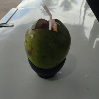 Água De Coco Normal No Fruto