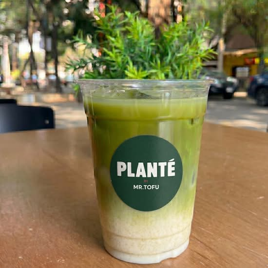 Matcha Frío