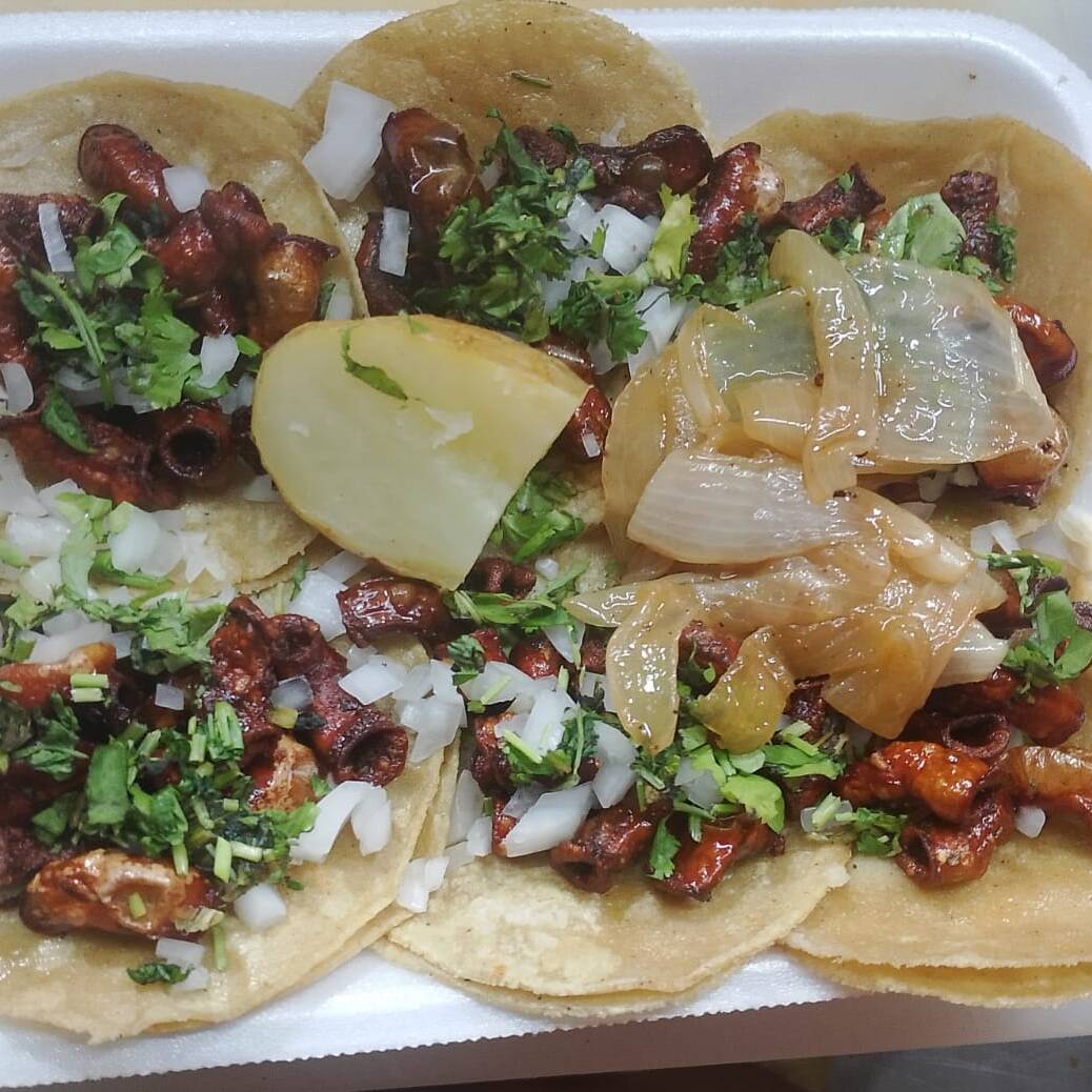 Tripa Dorada
