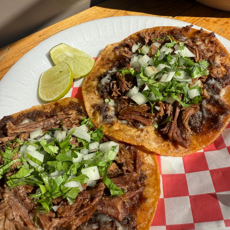 Pelliscadas con Birria