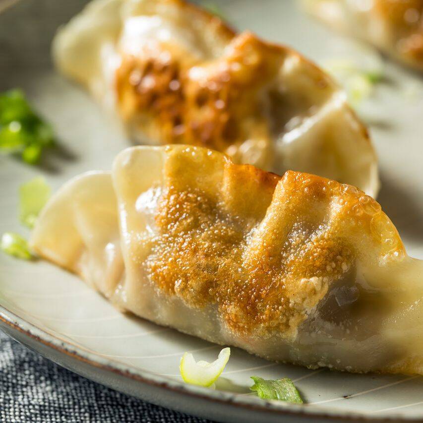 MANDU 5 PZ