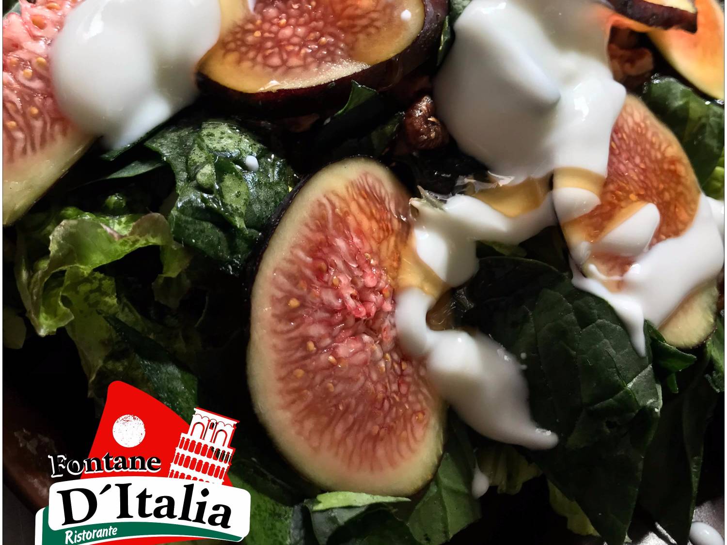Fontane Delle Tartarughe