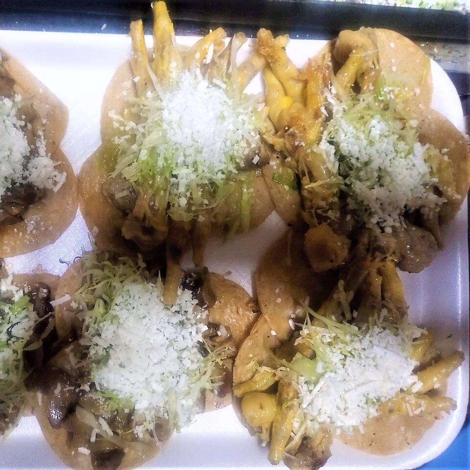 Patitas