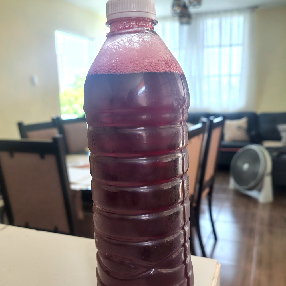 Agua Jamaica