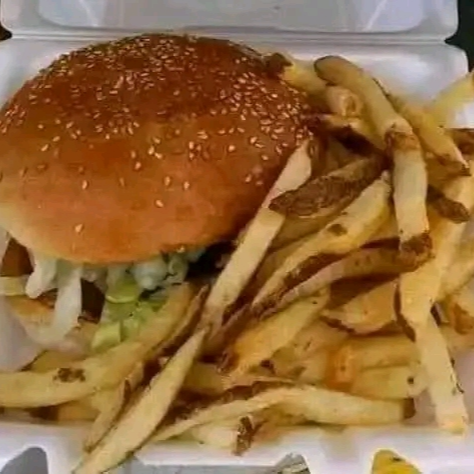 HAMBURGUESA ESPECIAL