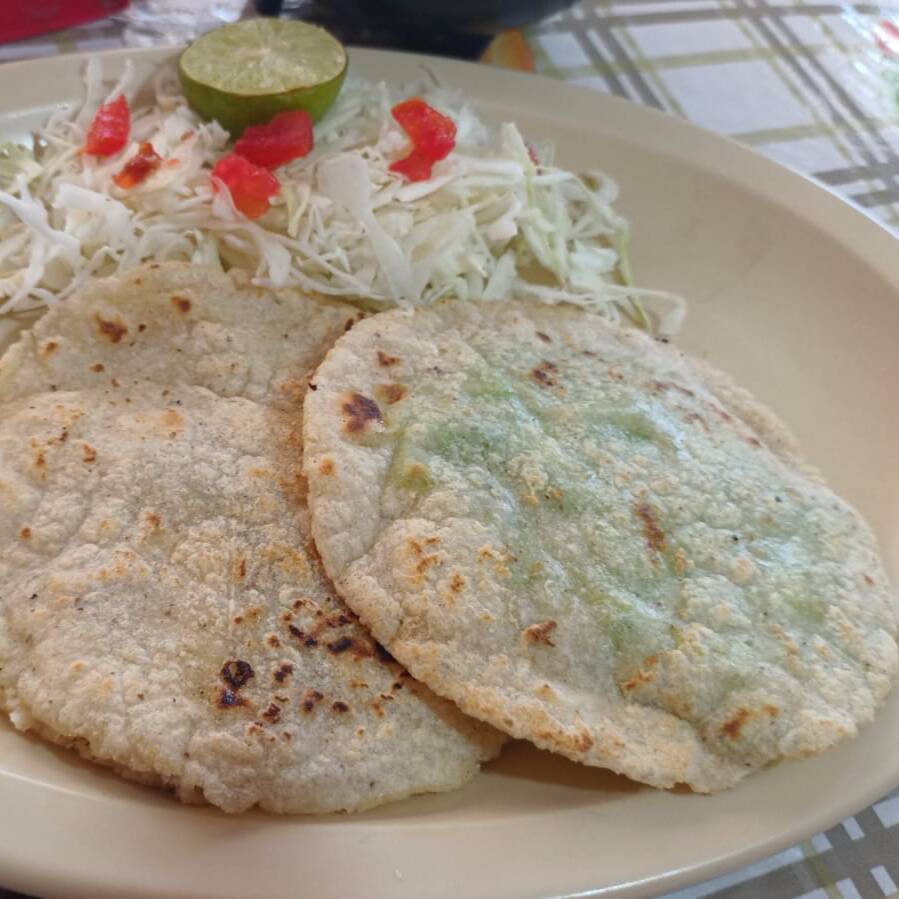 Gordita