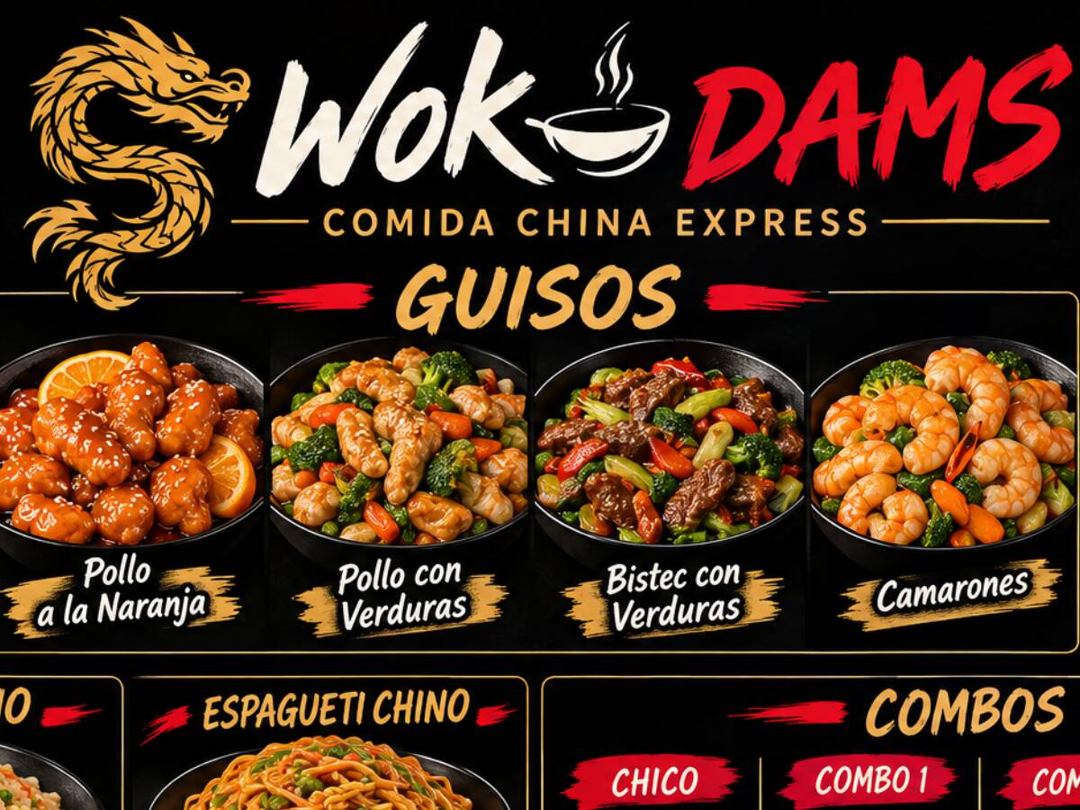 WOK DAMS COMIDA CHINA EXPRESS