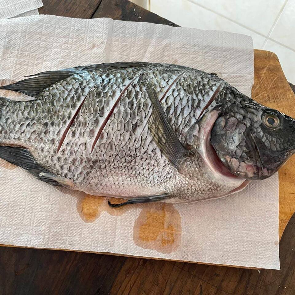 mojarra grande