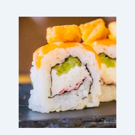 Rollo Salmón 10 pzas