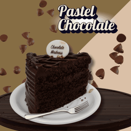 REBANADA DE PASTEL DE CHOCOLATE