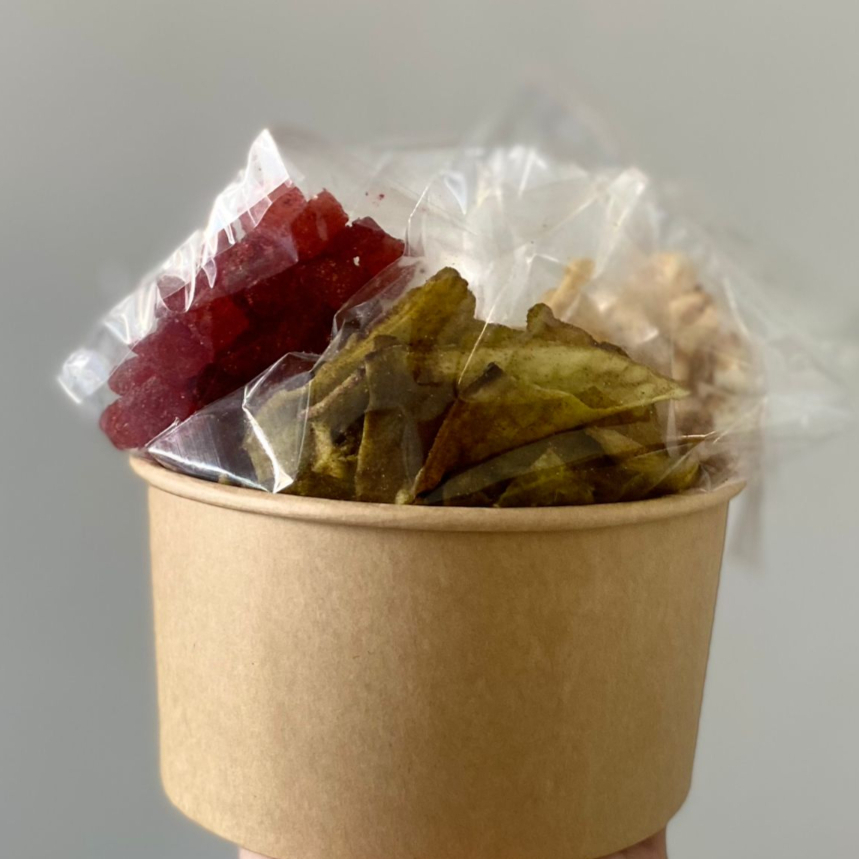 Bowl Árbol (Salado)