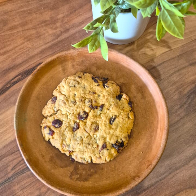 GALLETA ARANDANO Y AVENA
