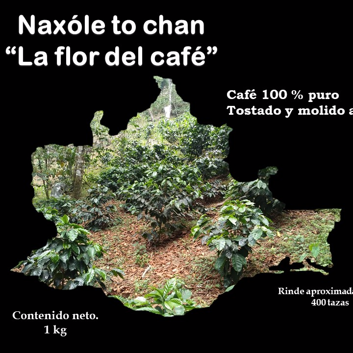 Cafe molido 1 kg